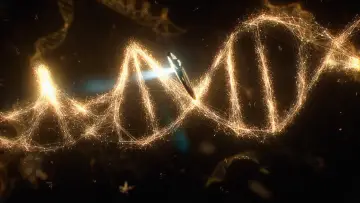 Zasłona к сериалу "Kosmos" #1454897