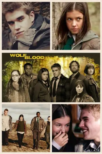 Plakat do serialu "Wolfblood" #1666351