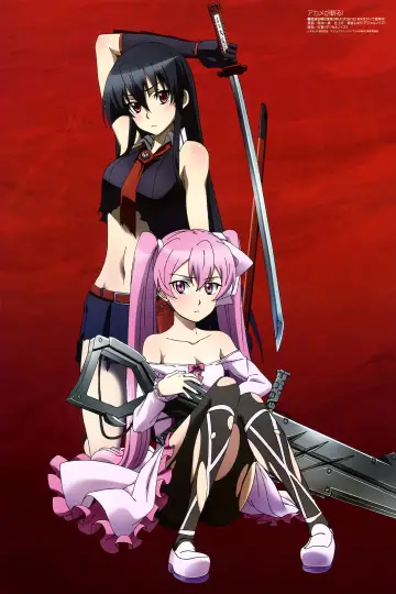 Plakat к сериалу "Akame ga Kill!" #1373353