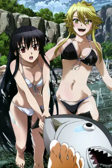 Plakat к сериалу "Akame ga Kill!" #1373354