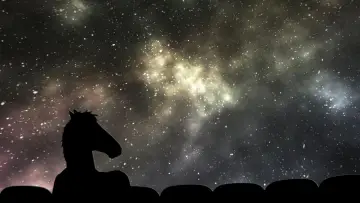 Zasłona к сериалу "BoJack Horseman" #1295075