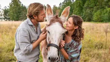 Zasłona к сериалу "Inga Lindström" #1392257