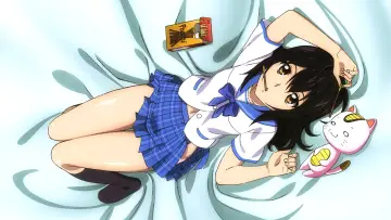 Zasłona к сериалу "Strike the Blood" #1322601