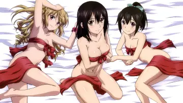 Zasłona к сериалу "Strike the Blood" #1322609