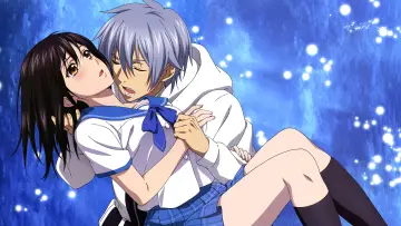 Zasłona к сериалу "Strike the Blood" #1322612
