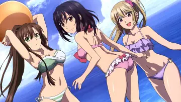 Zasłona к сериалу "Strike the Blood" #1322613