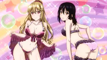 Zasłona к сериалу "Strike the Blood" #1322621