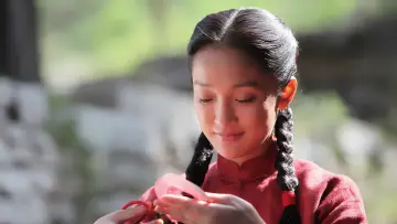 Zasłona do serialu "红高粱" #1666080