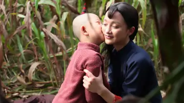 Zasłona do serialu "红高粱" #1666082