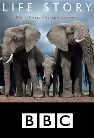 Plakat do serialu "Opowieść o życiu" #1806518