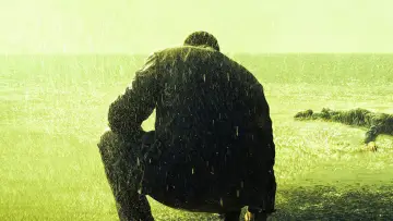 Zasłona к сериалу "Bloodline" #1411974