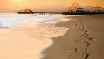 Zasłona к сериалу "Fear the Walking Dead" #1296910
