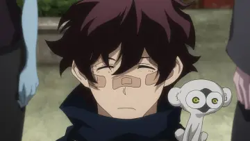 Zasłona do serialu "Kekkai Sensen" #1540220