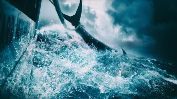Zasłona к сериалу "Wicked Tuna" #1357112