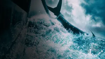 Zasłona к сериалу "Wicked Tuna" #1357115
