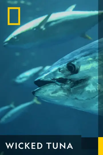Plakat к сериалу "Wicked Tuna" #1357135