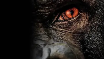 Zasłona к сериалу "Zoo" #1385931