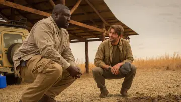 Zasłona к сериалу "Zoo" #1385934