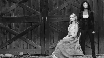 Zasłona к сериалу "Westworld" #1297447