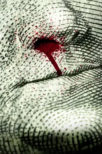 Plakat к сериалу "Narcos" #1305556