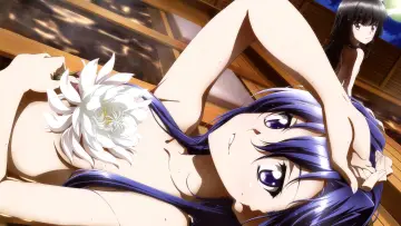 Zasłona к сериалу "Senki Zesshou Symphogear" #1386260