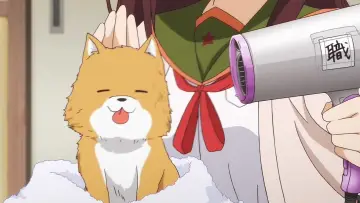 Zasłona do serialu "Gakkougurashi!" #1819770