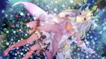 Zasłona к сериалу "Fate/Kaleid Liner Prisma Illya" #1374714