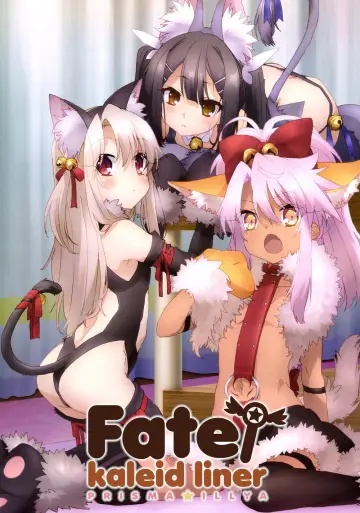Plakat к сериалу "Fate/Kaleid Liner Prisma Illya" #1374735