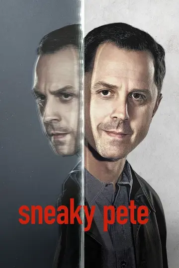 Pete kombinator plakat