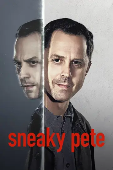 Plakat к сериалу "Pete kombinator" #1354997
