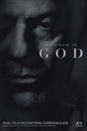 Plakat do serialu "The Frankenstein Chronicles" #1869950