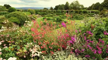 Zasłona do serialu "The Secret History of the British Garden" #1775848