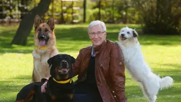 Zasłona do serialu "For the Love of Dogs" #1668434