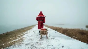 Zasłona к сериалу "Nord bei Nordwest" #1476127