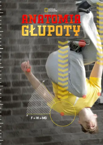 Anatomia głupoty plakat