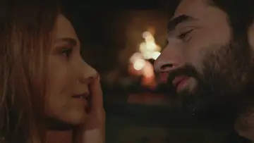 Zasłona do serialu "Poyraz Karayel" #1897580