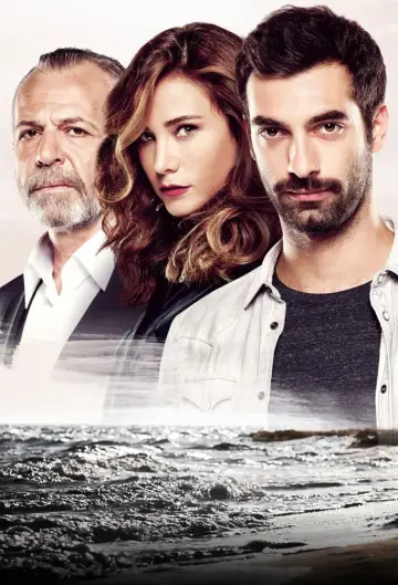 Plakat do serialu "Poyraz Karayel" #1897586