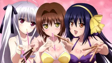 Zasłona do serialu "Absolute Duo" #1662666