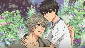 Zasłona do serialu "Super Lovers" #1540682