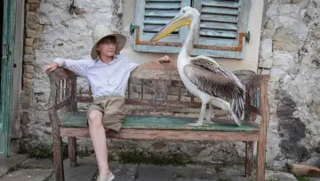 Zasłona do serialu "The Durrells" #1591491