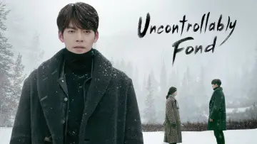 Zasłona do serialu "Uncontrollably Fond" #1800138