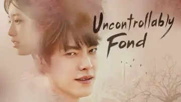 Zasłona do serialu "Uncontrollably Fond" #1800140