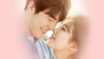 Zasłona do serialu "Uncontrollably Fond" #1800143