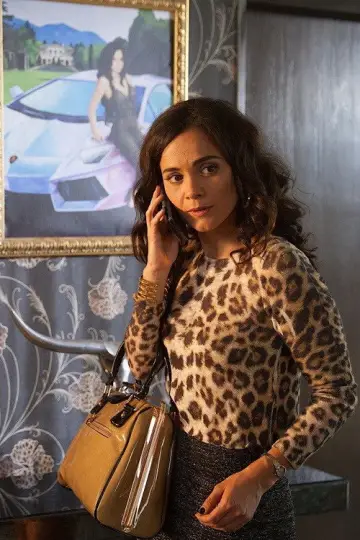 Plakat к сериалу "Queen of the South" #1367821