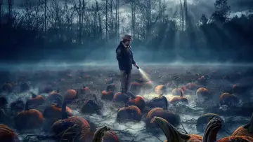 Zasłona к сериалу "Stranger Things" #1239067