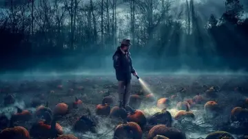 Zasłona к сериалу "Stranger Things" #1239076