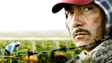 Zasłona do serialu "American Crime" #1546163