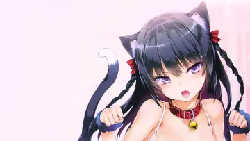 Zasłona к сериалу "Masou Gakuen HxH" #1369841