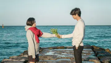 Zasłona к сериалу "Goblin" #1311329