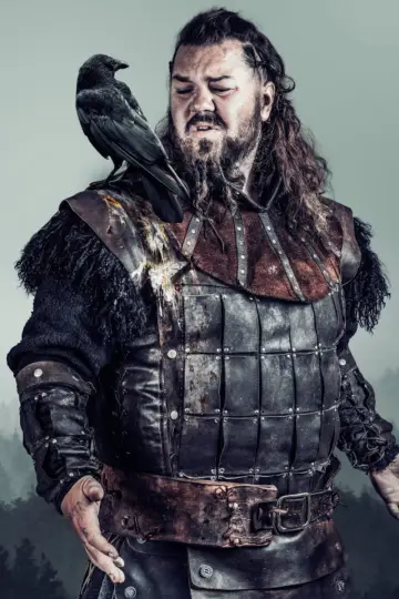 Plakat do serialu "Vikingane" #1465978